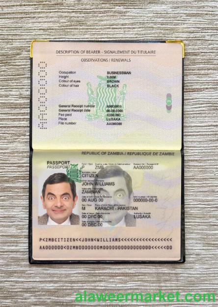 Zambia pass photo look